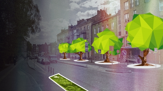 «Якби дерева були в пріоритеті, то їх би обходили». Про реконструкцію вулиці Шевченка